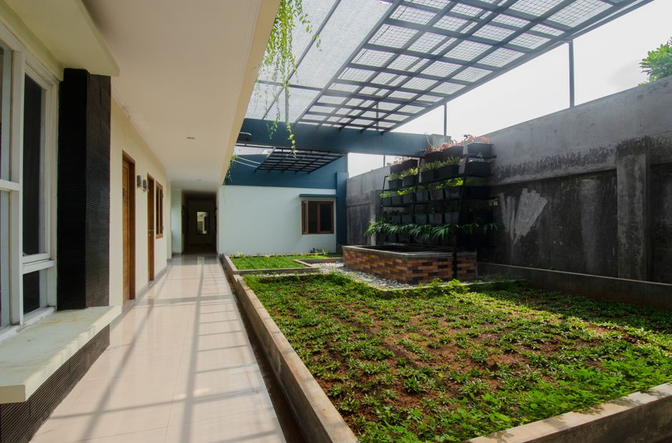 A contemporary courtyard with a green garden
